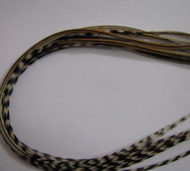 ���� Dry Fly (��� ����� ���) 10 �� ������ ������  , ������ � 16-14